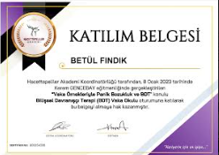 Çalışma ortamı 5