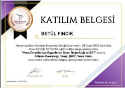 Çalışma ortamı 6