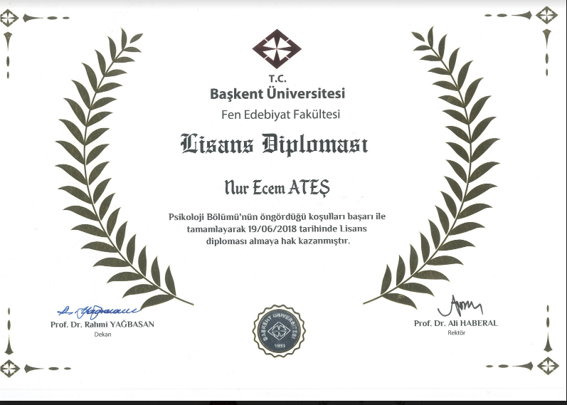 Çalışma ortamı 1