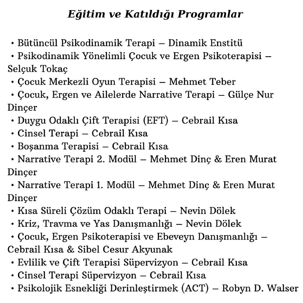Çalışma ortamı 2