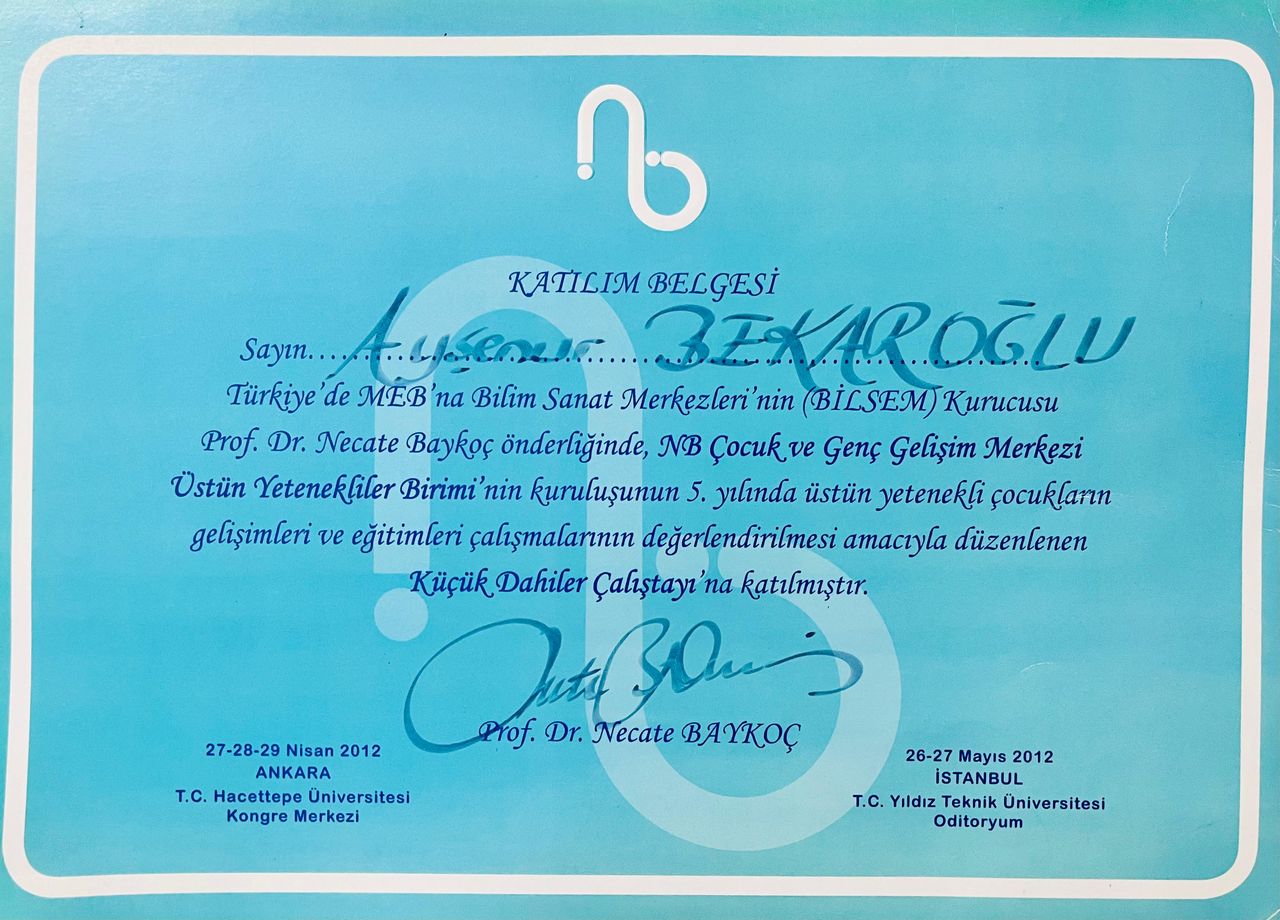 Çalışma ortamı 3