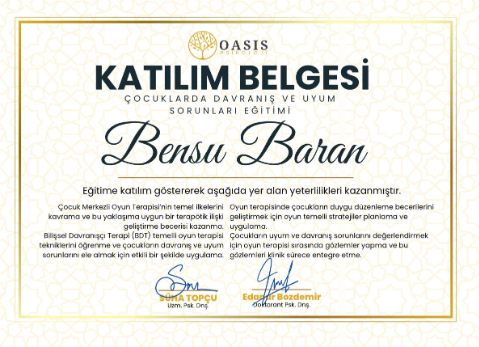 Çalışma ortamı 2