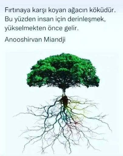 Çalışma ortamı 1