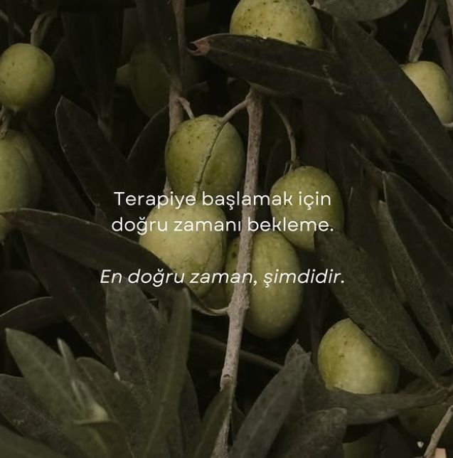 Çalışma ortamı 2