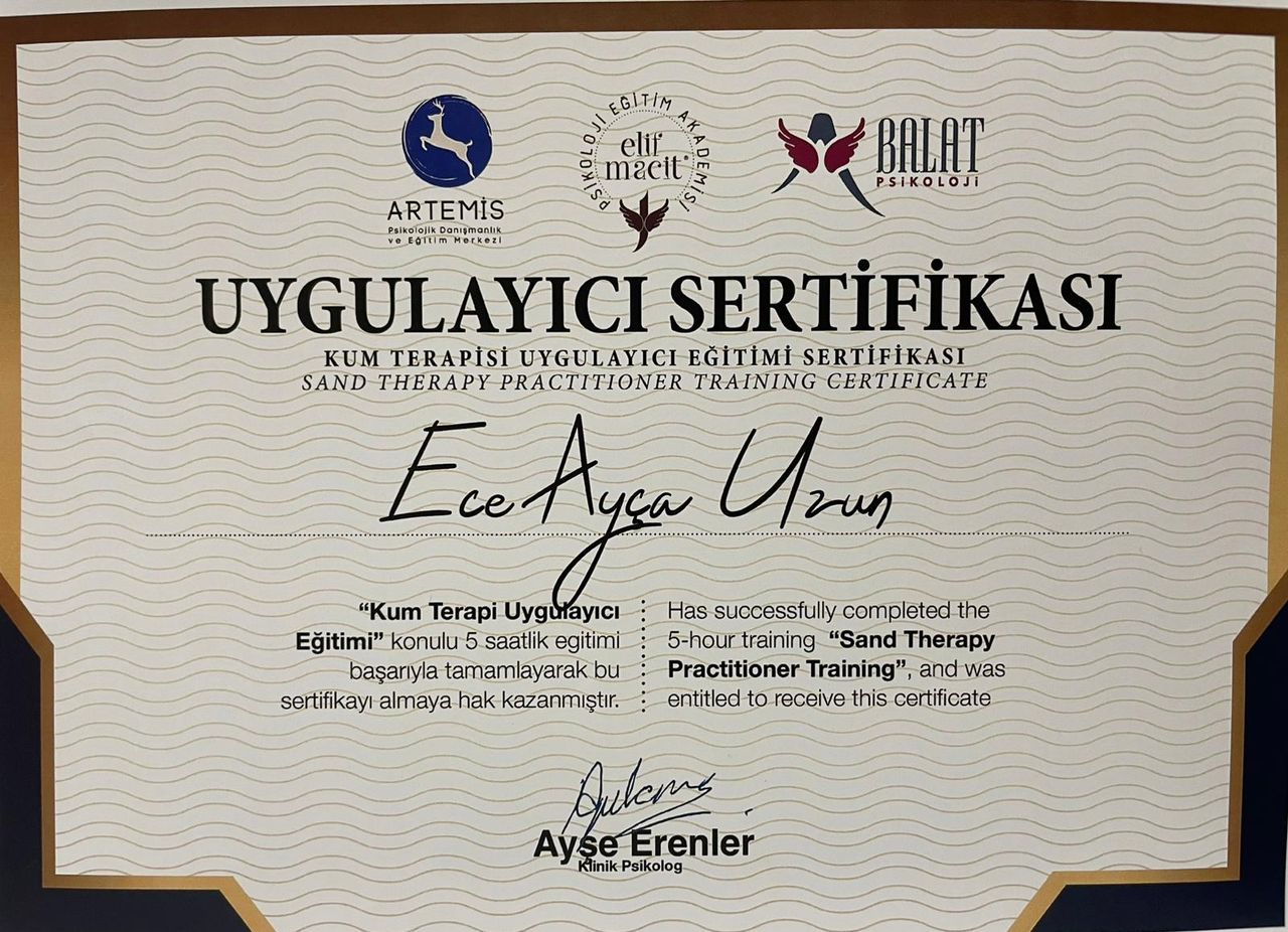 Çalışma ortamı 3