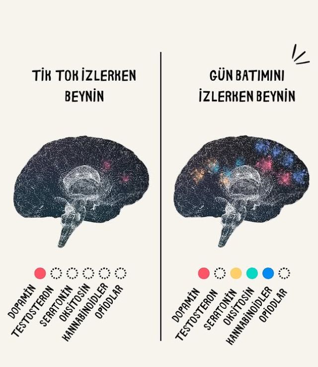 Çalışma ortamı 2