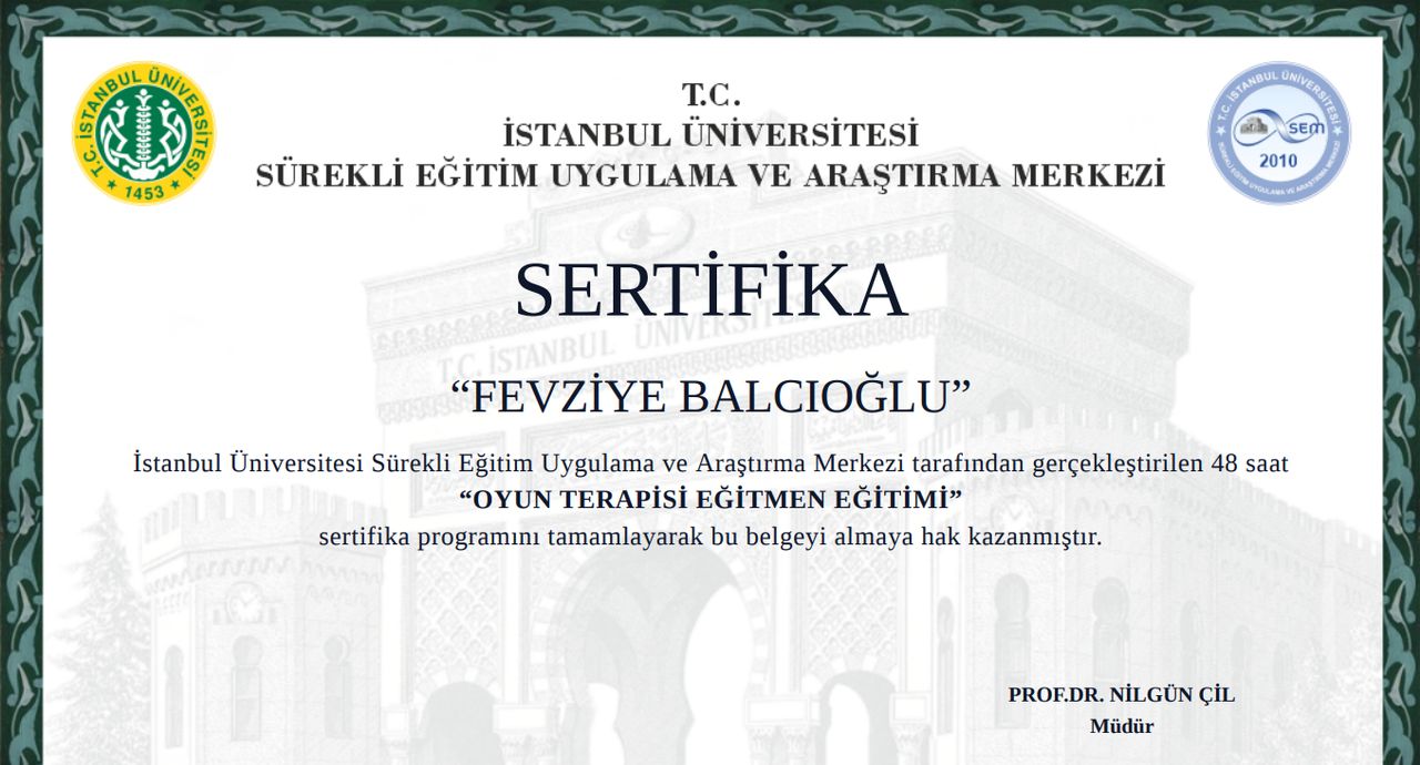 Çalışma ortamı 2