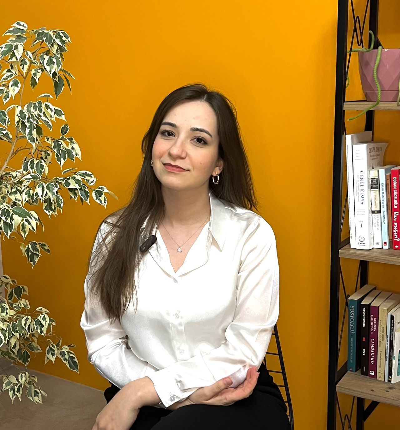 Çalışma ortamı 2