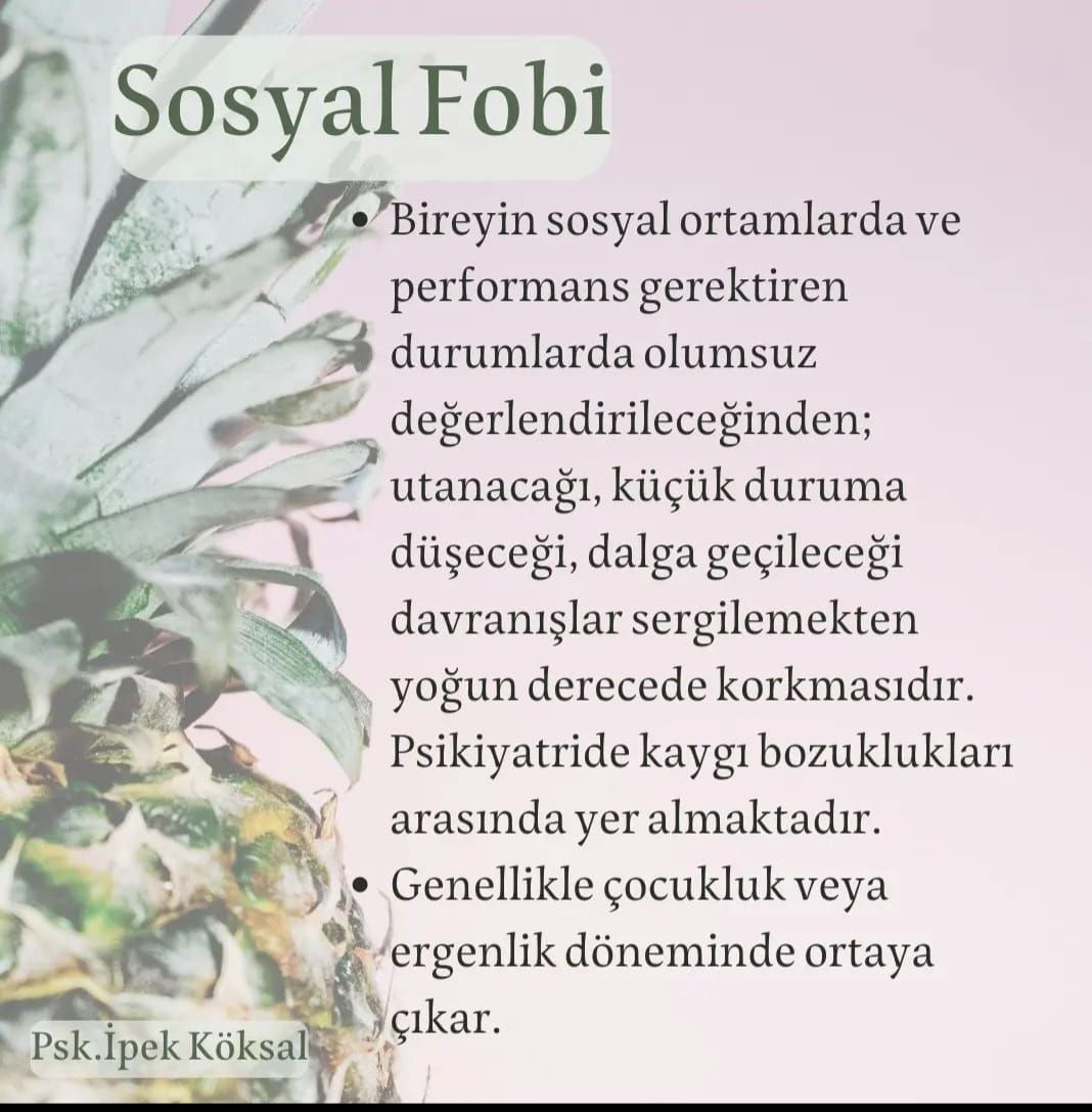 Çalışma ortamı 6