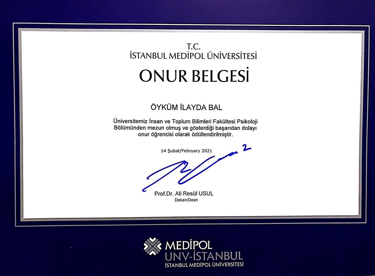 Çalışma ortamı 3