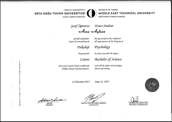 Çalışma ortamı 1