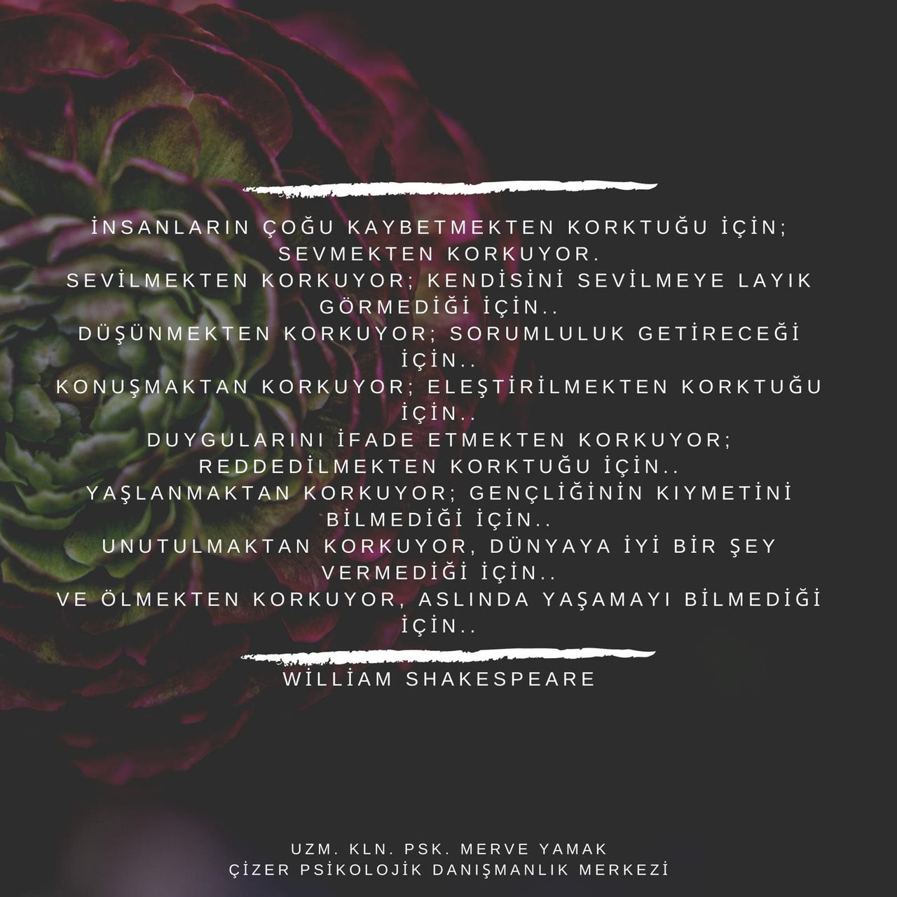 Çalışma ortamı 1