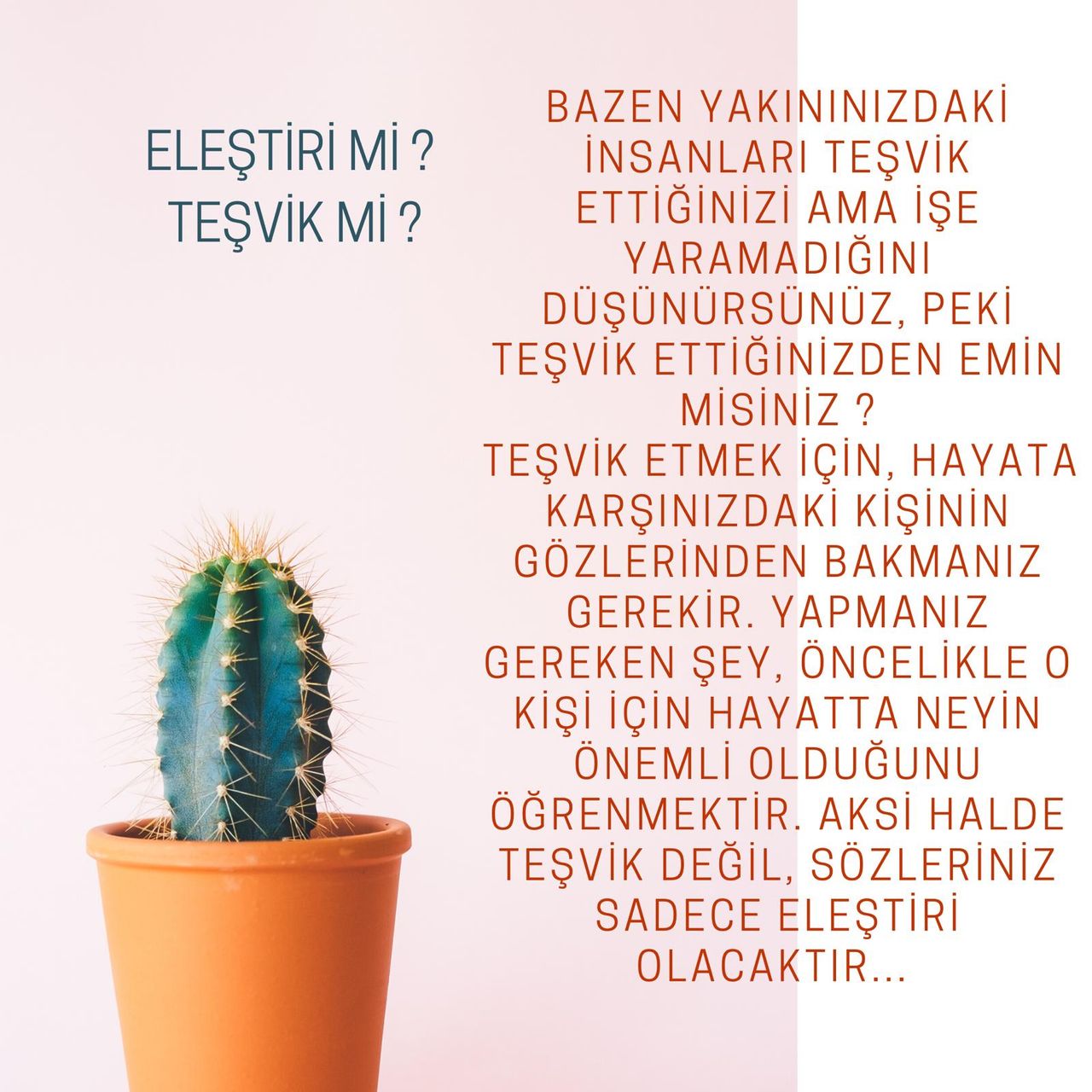 Çalışma ortamı 5
