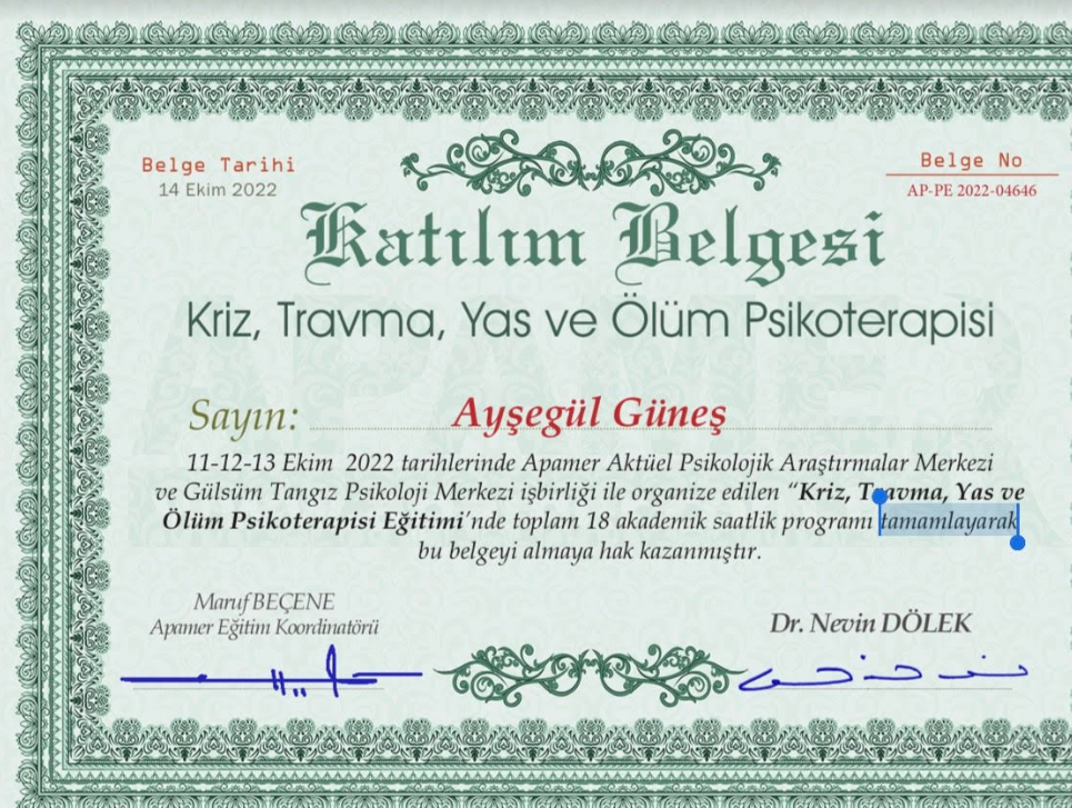 Çalışma ortamı 4