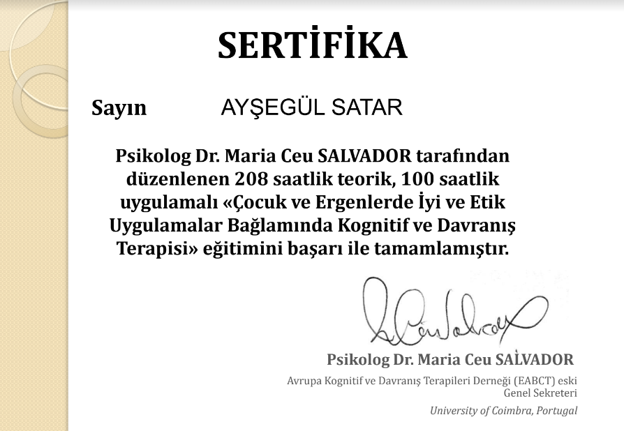 Çalışma ortamı 2