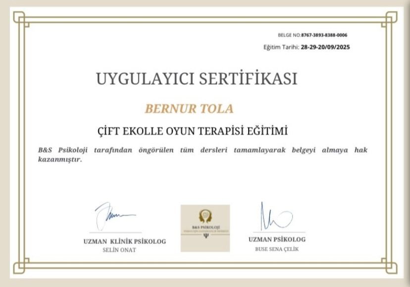 Çalışma ortamı 4