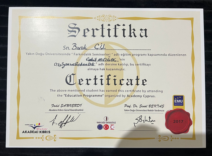 Çalışma ortamı 6