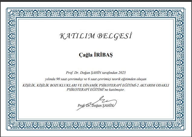 Çalışma ortamı 2