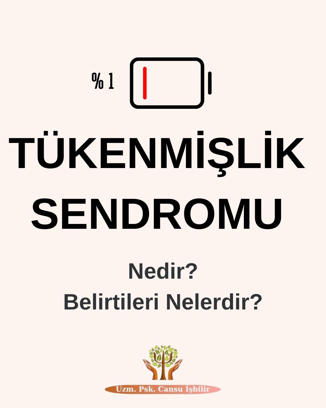 Çalışma ortamı 2