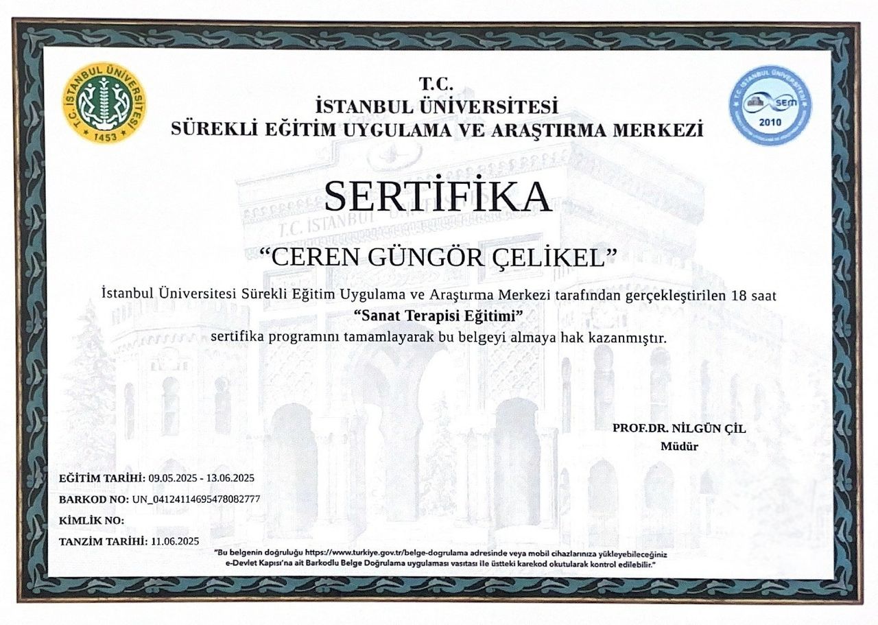 Çalışma ortamı 3