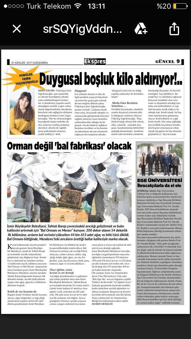 Çalışma ortamı 5