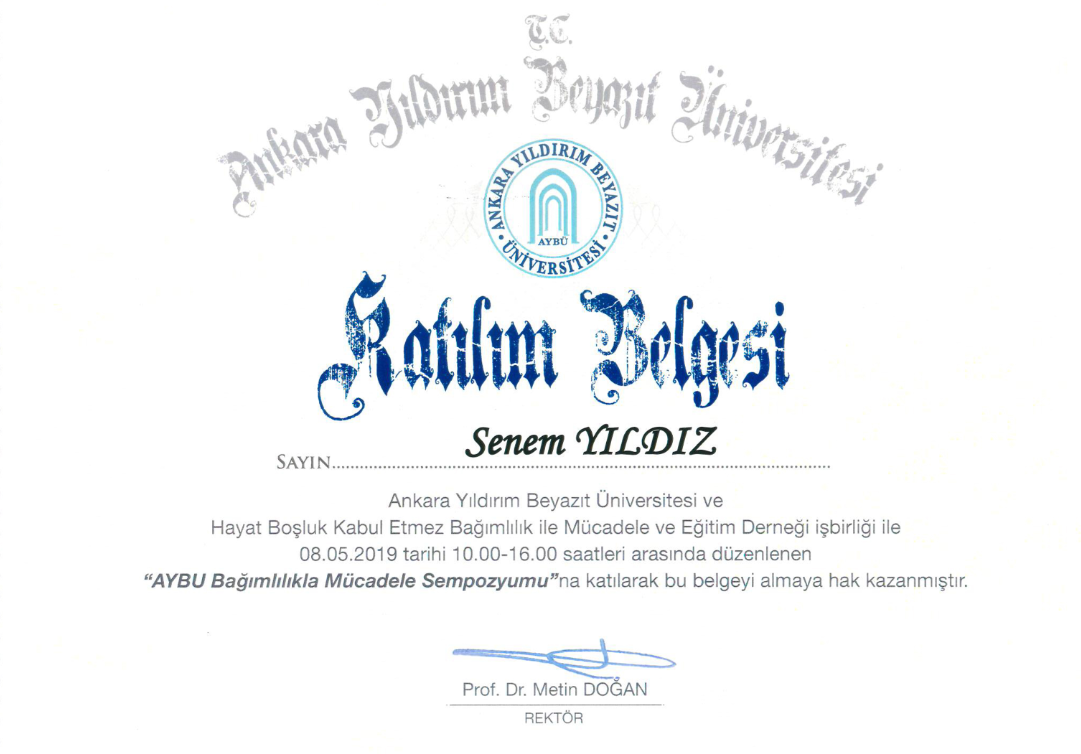 Çalışma ortamı 2