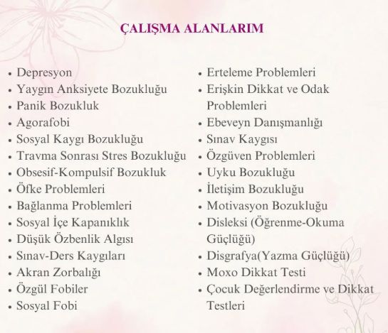 Çalışma ortamı 2