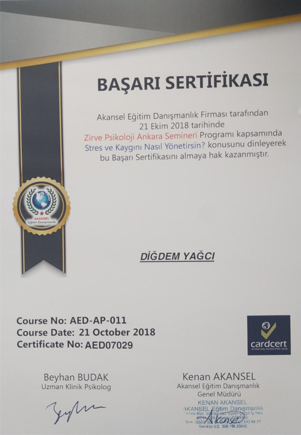Çalışma ortamı 2