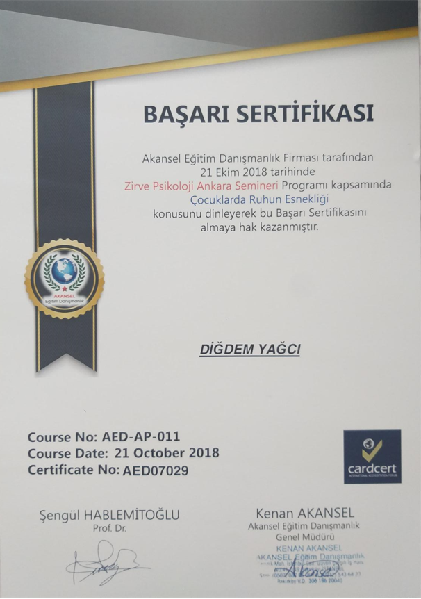 Çalışma ortamı 4