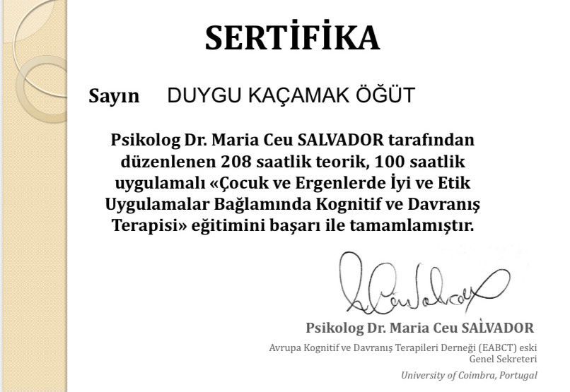 Çalışma ortamı 3