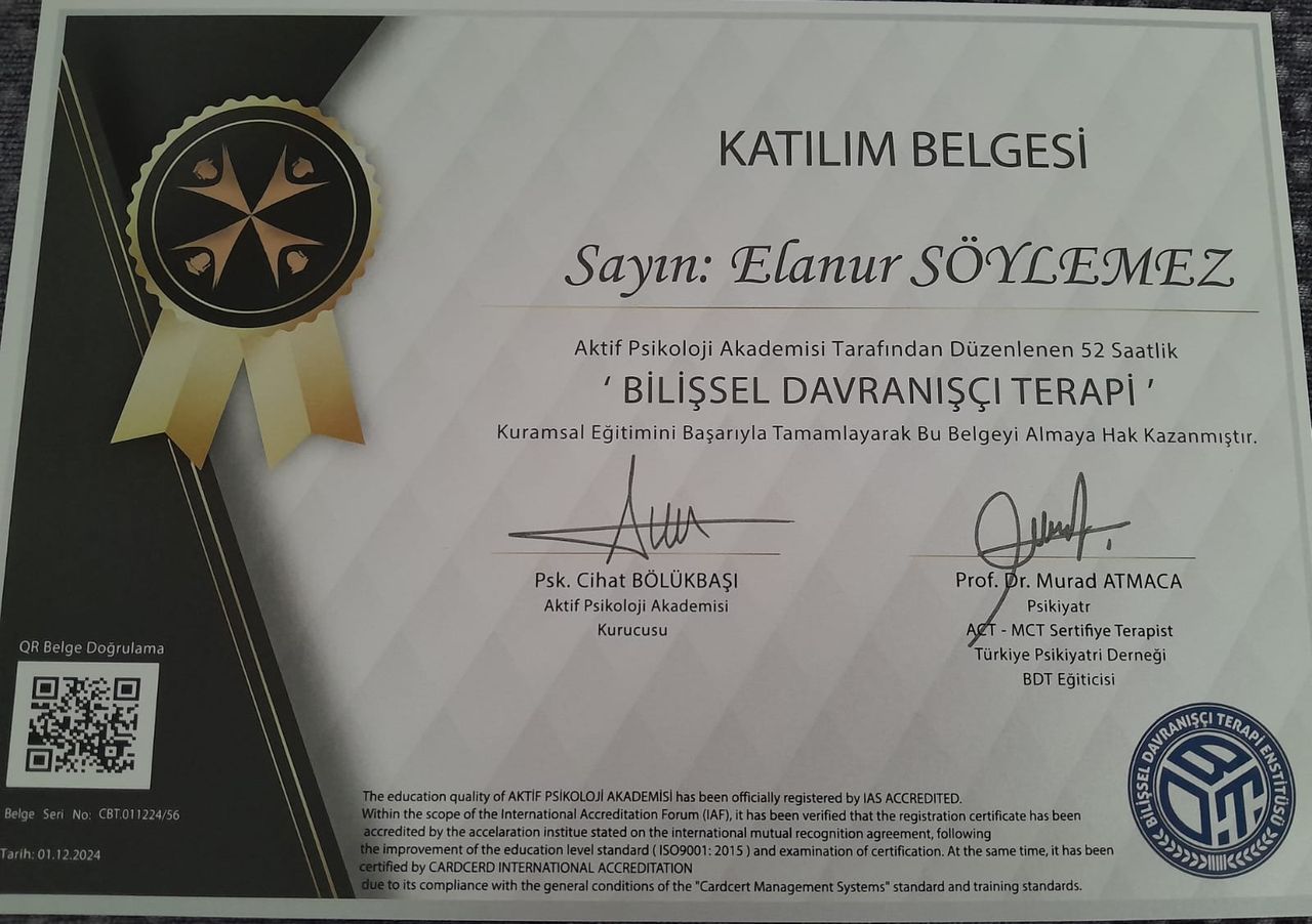 Çalışma ortamı 3