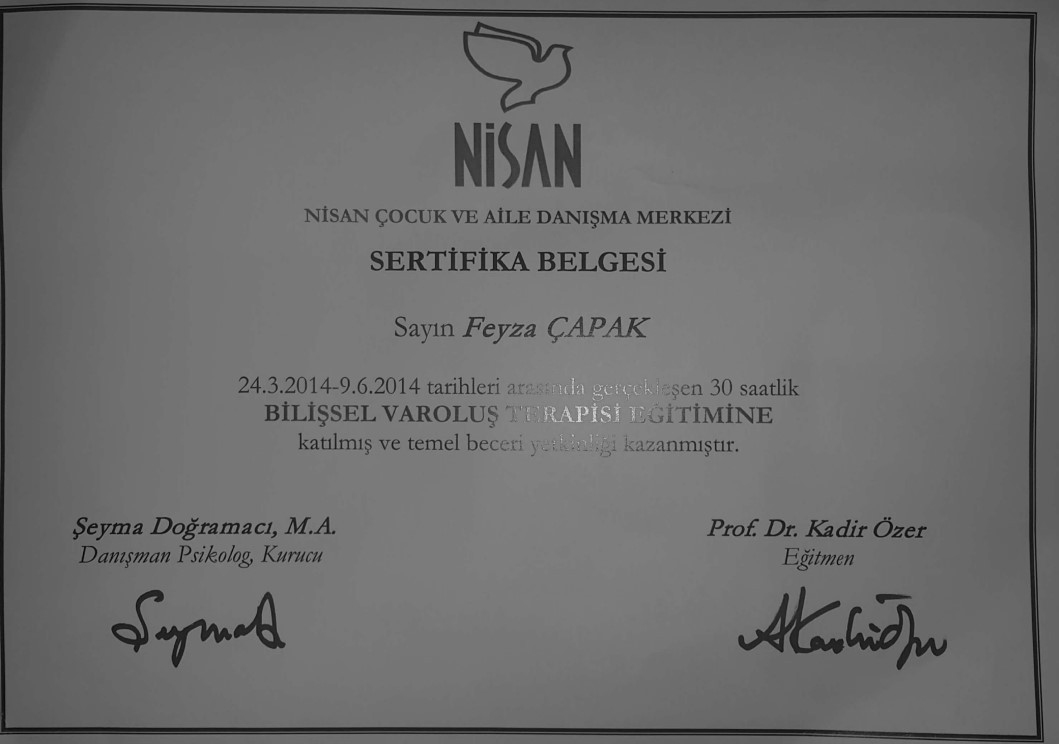 Çalışma ortamı 2