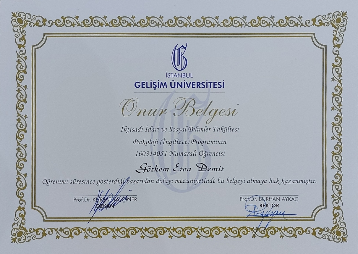 Çalışma ortamı 2