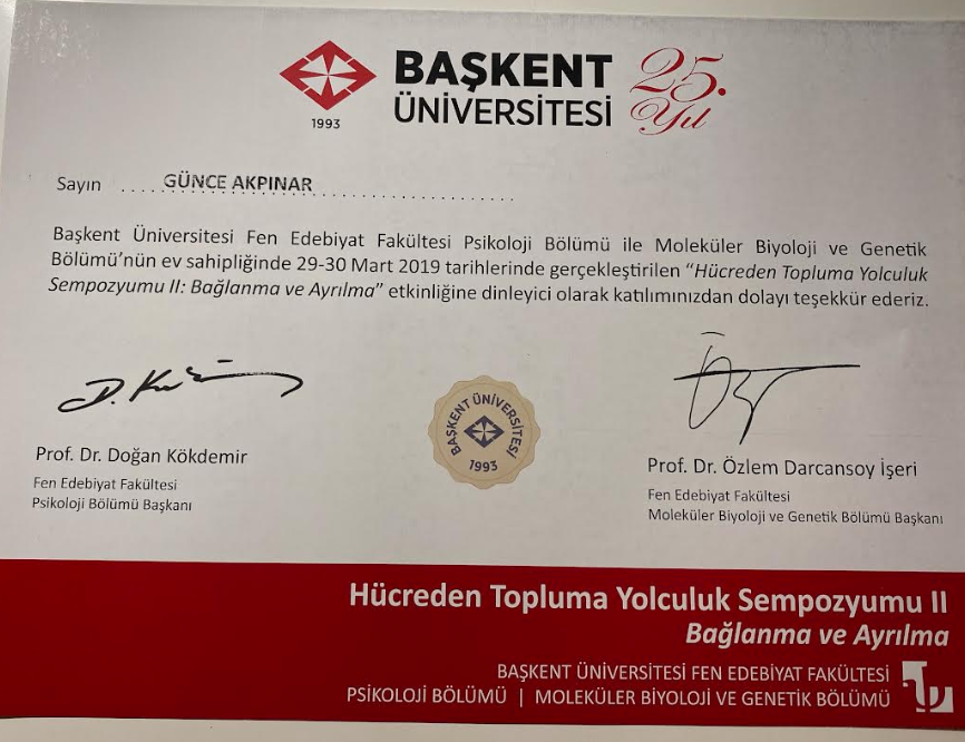 Çalışma ortamı 2