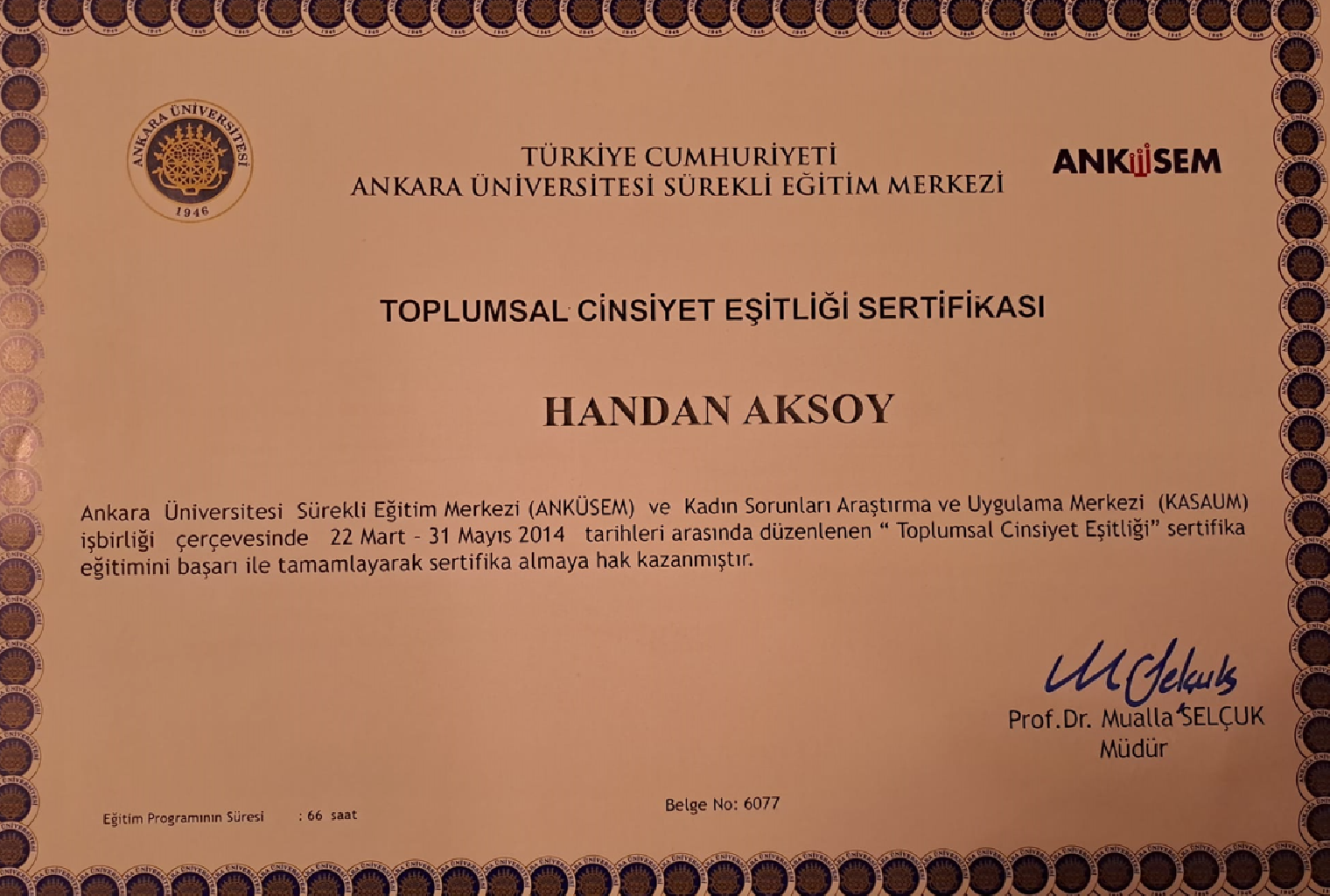 Çalışma ortamı 6