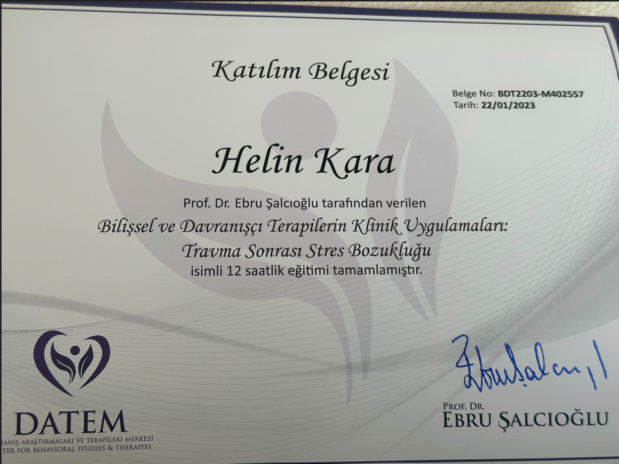Çalışma ortamı 6