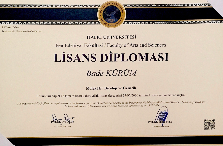 Çalışma ortamı 2