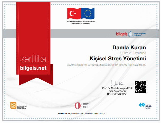 Çalışma ortamı 5