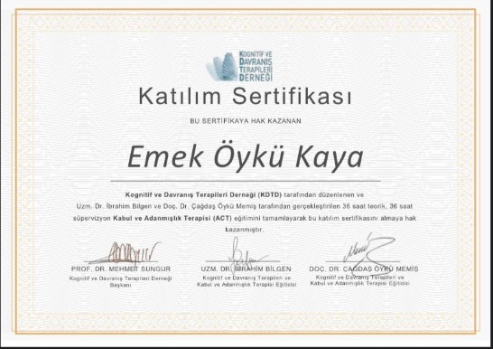 Çalışma ortamı 3