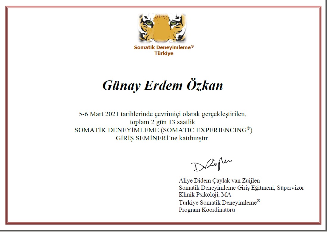 Çalışma ortamı 1