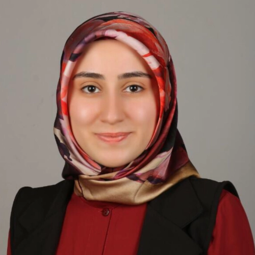 Kl. Psk. Kübra Biçer Gürel, Klinik Psikolog, Tokat Merkez