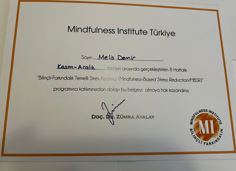 Çalışma ortamı 3