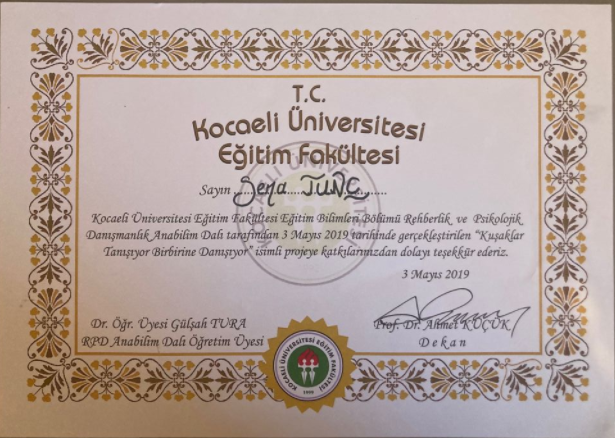 Çalışma ortamı 4