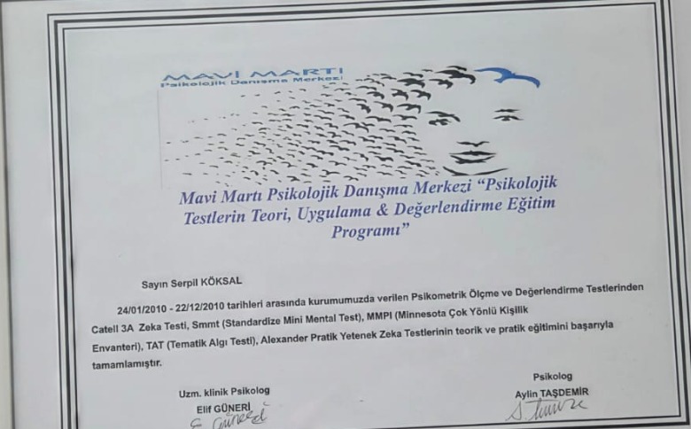 Çalışma ortamı 6