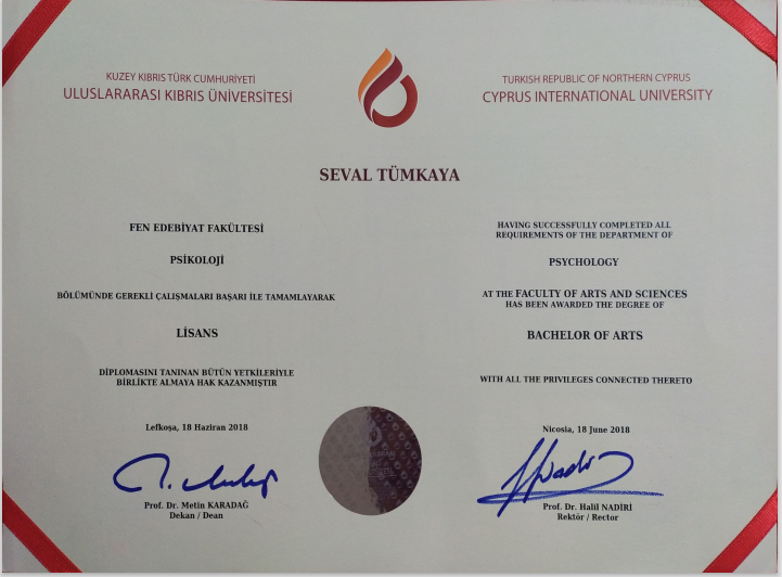Çalışma ortamı 2