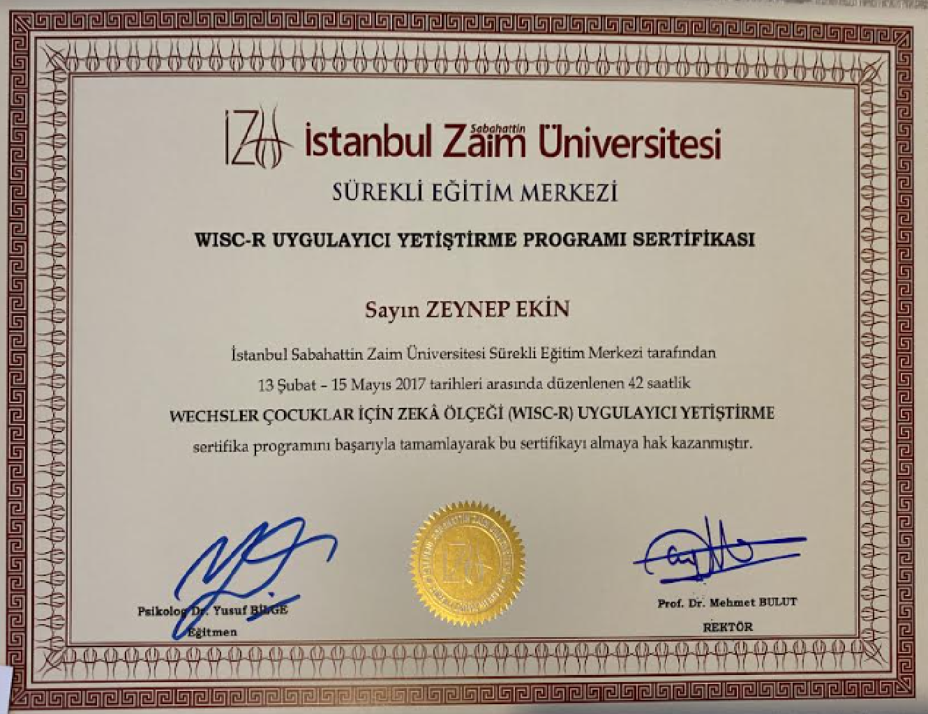 Çalışma ortamı 2