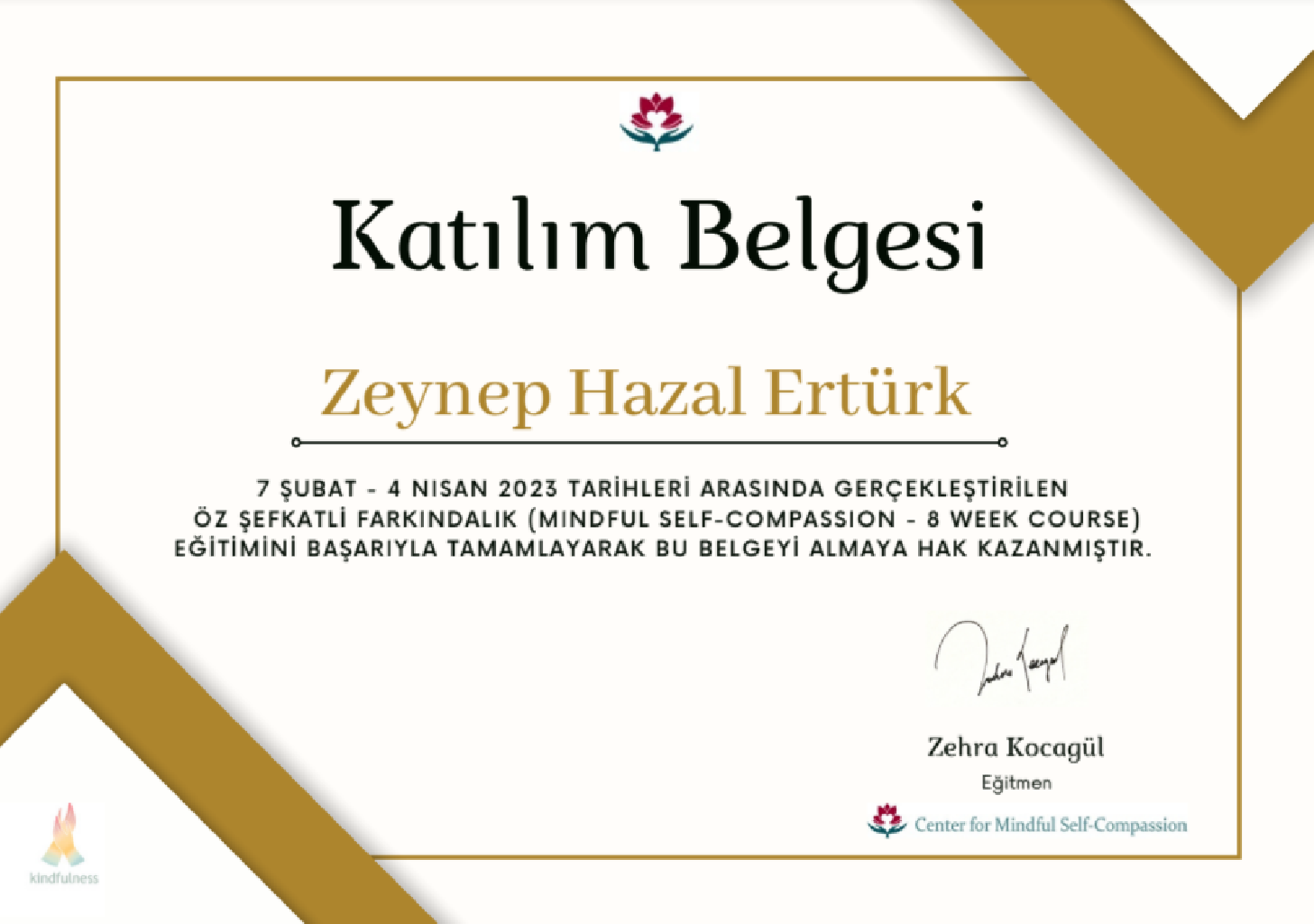 Çalışma ortamı 5