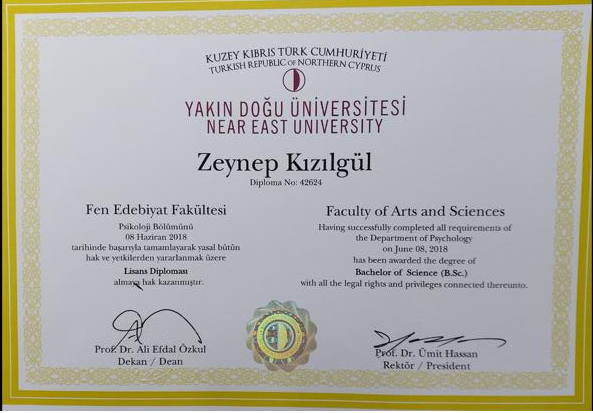 Çalışma ortamı 1