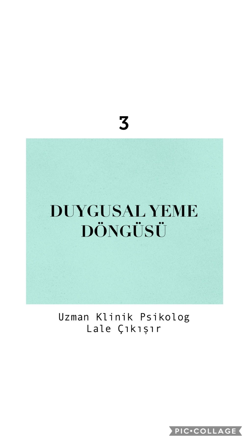 Çalışma ortamı 3