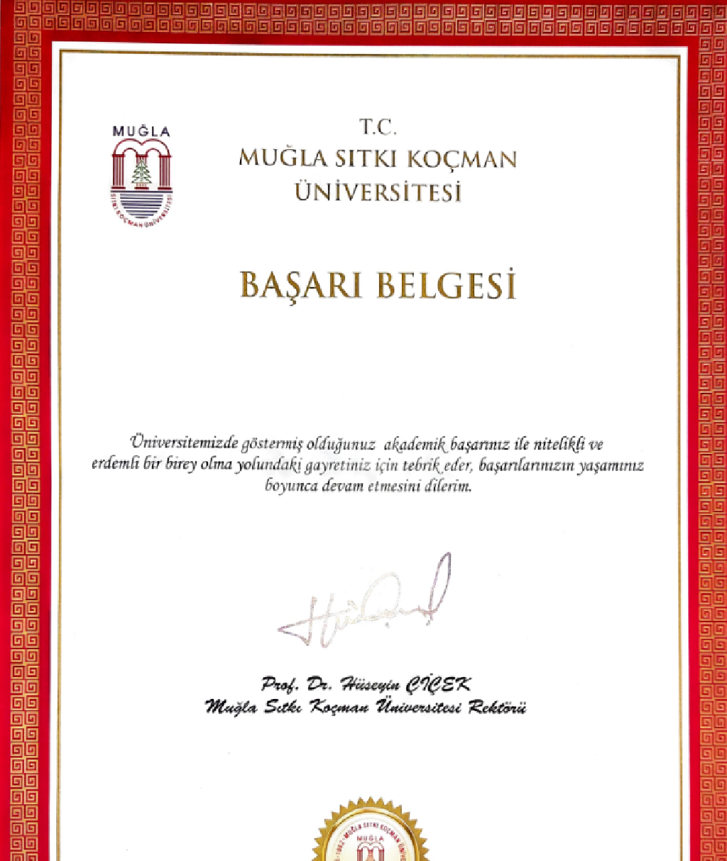 Çalışma ortamı 5